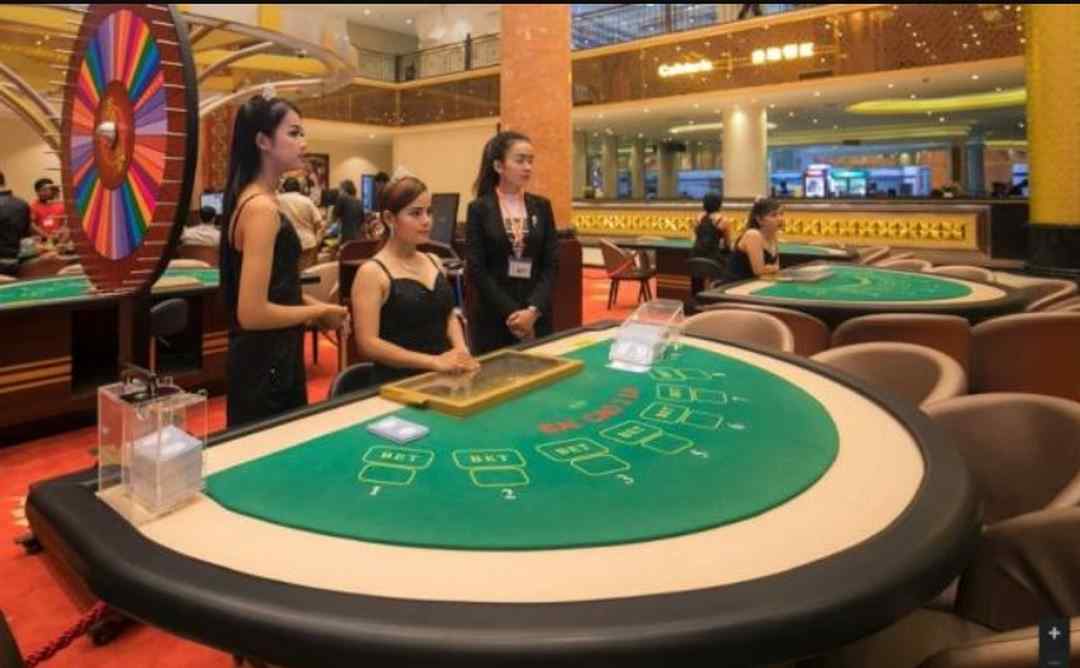 Casino Venus có nhiều thể loại game từ kinh điển đến hiện đại